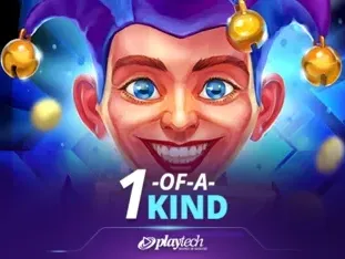 1-of-a-kind thumbnail